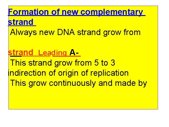 Formation of new complementary strand Always new DNA strand grow from strand Leading AThis