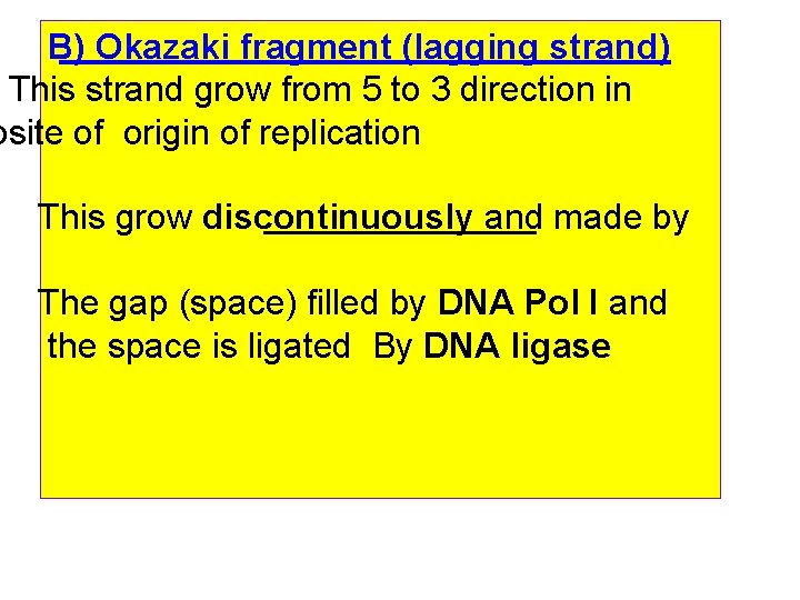 B) Okazaki fragment (lagging strand) This strand grow from 5 to 3 direction in