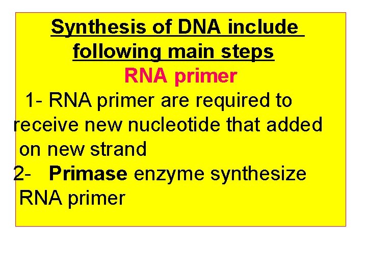 Synthesis of DNA include following main steps RNA primer 1 - RNA primer are