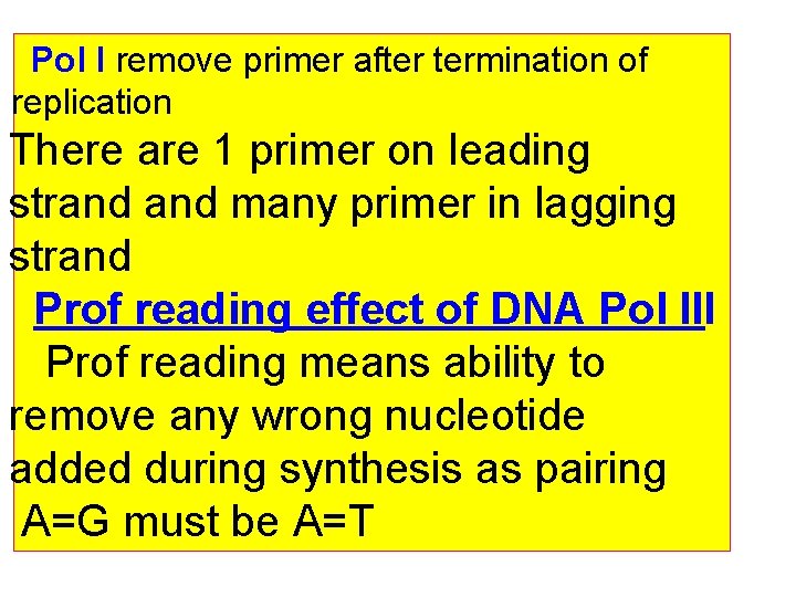Pol I remove primer after termination of replication There are 1 primer on leading