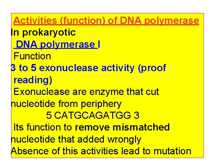 Activities (function) of DNA polymerase In prokaryotic DNA polymerase I Function 3 to 5