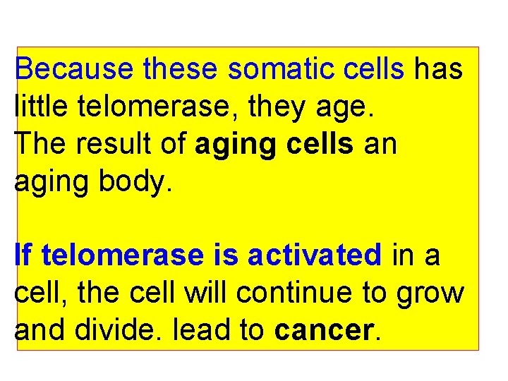 Because these somatic cells has little telomerase, they age. The result of aging cells