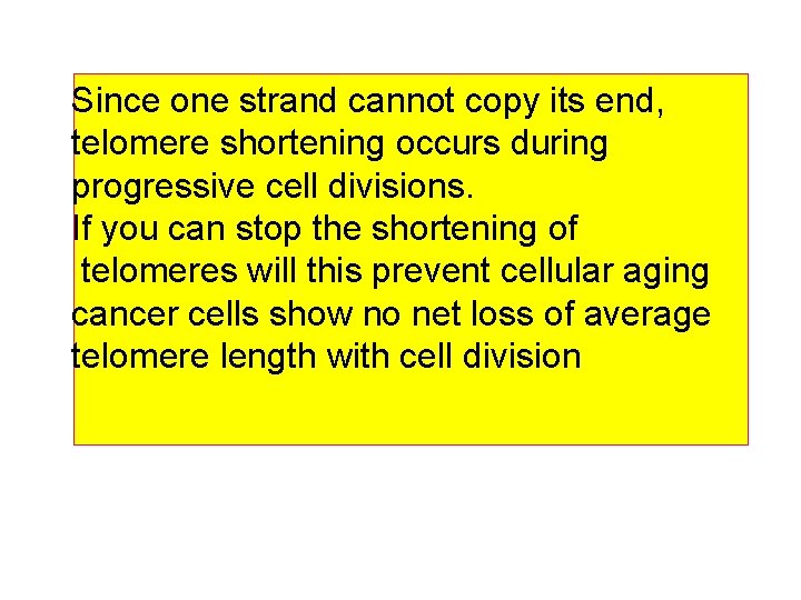 Since one strand cannot copy its end, telomere shortening occurs during progressive cell divisions.