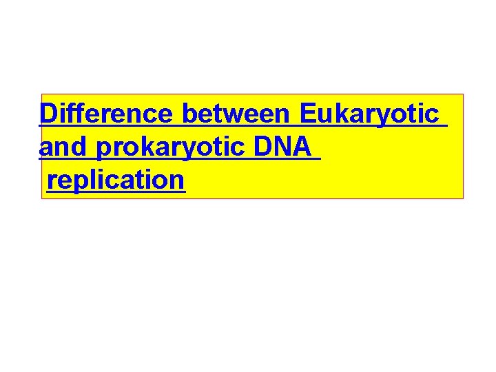 Difference between Eukaryotic and prokaryotic DNA replication 