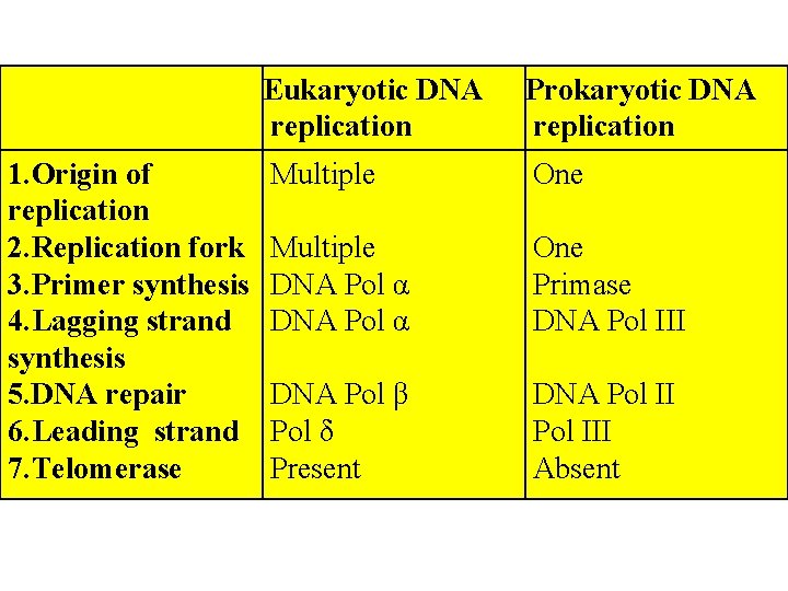1. Origin of replication 2. Replication fork 3. Primer synthesis 4. Lagging strand synthesis