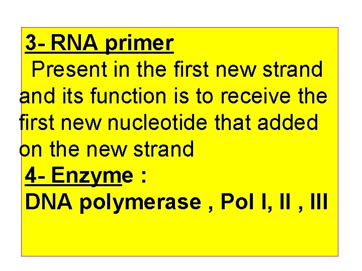 3 - RNA primer Present in the first new strand its function is to