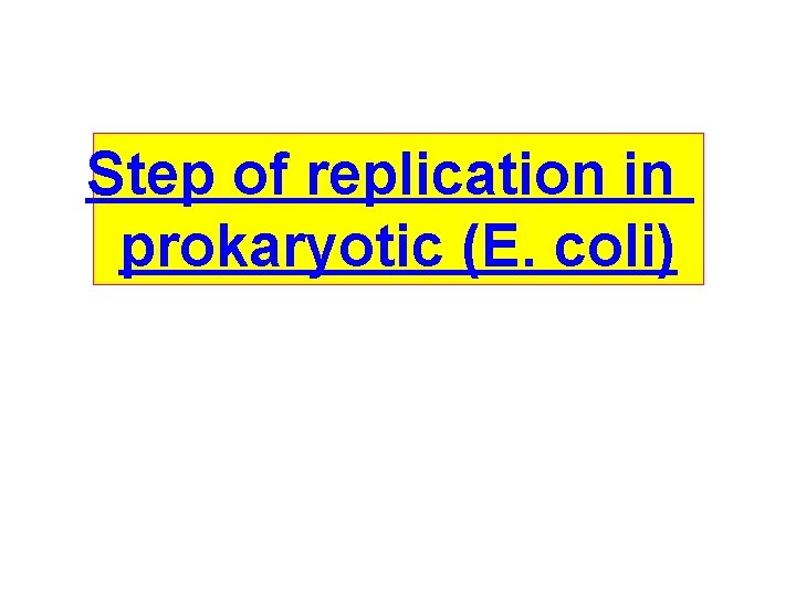 Step of replication in prokaryotic (E. coli) 
