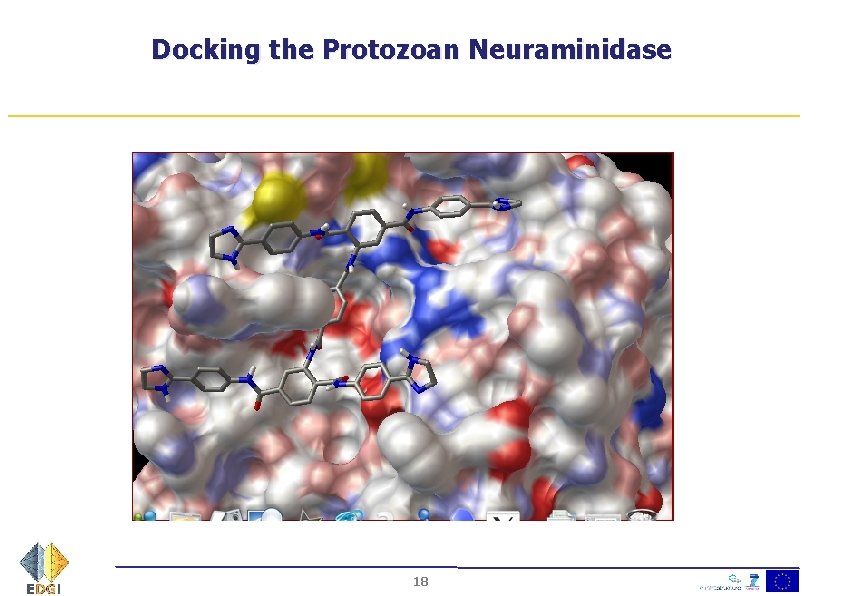 Docking the Protozoan Neuraminidase 18 