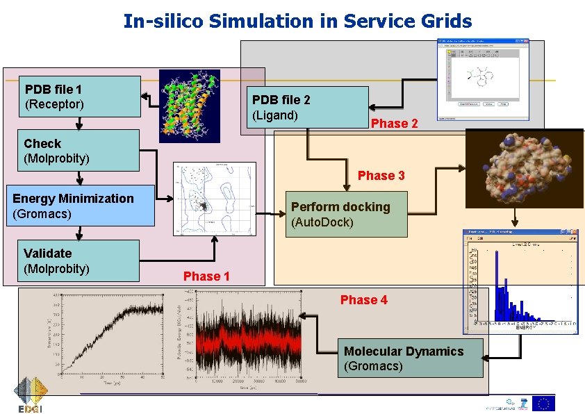 In-silico Simulation in Service Grids PDB file 1 (Receptor) PDB file 2 (Ligand) Phase