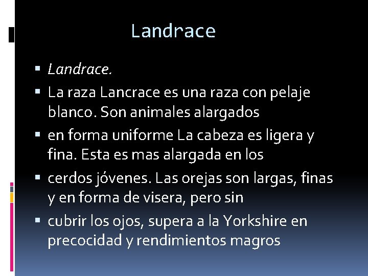 Landrace Landrace. La raza Lancrace es una raza con pelaje blanco. Son animales alargados