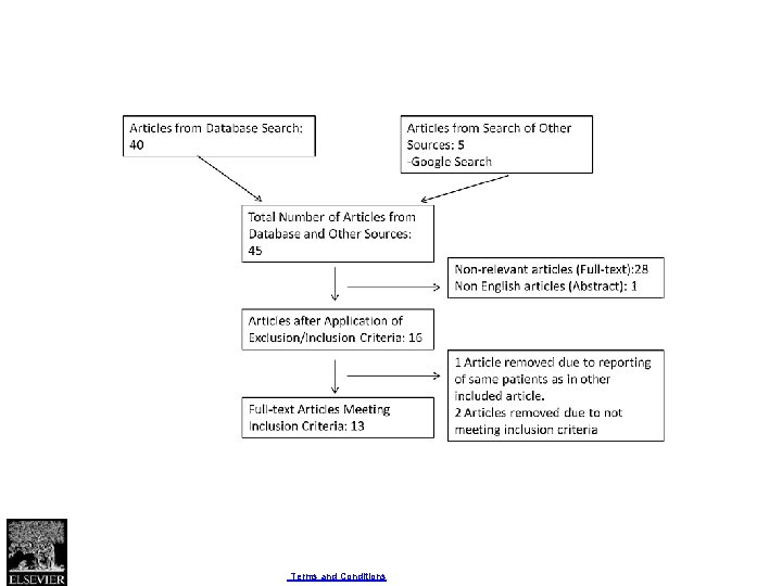 Fig. 1 Seizure - European Journal of Epilepsy 2017 50, 147 -152 DOI: (10.