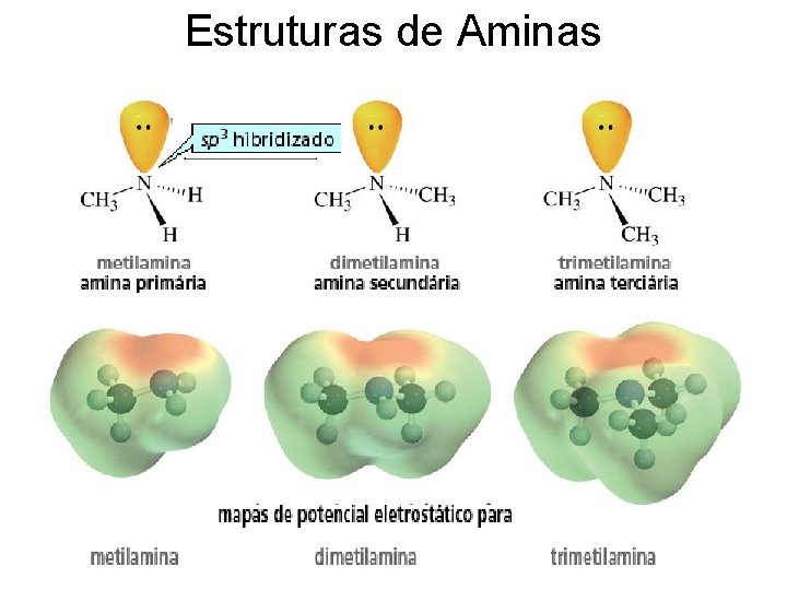 Estruturas de Aminas 