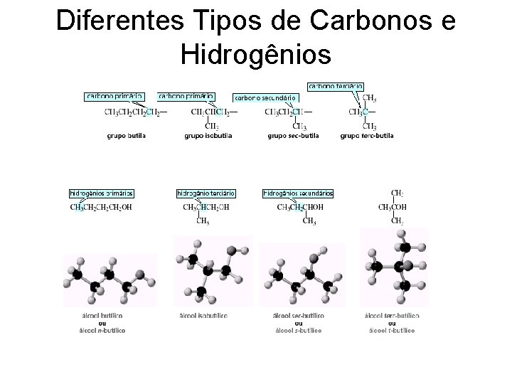 Diferentes Tipos de Carbonos e Hidrogênios 