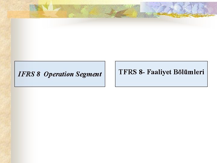 IFRS 8 Operation Segment TFRS 8 - Faaliyet Bölümleri 