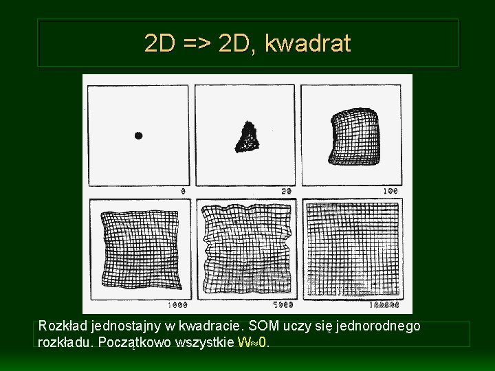 2 D => 2 D, kwadrat Rozkład jednostajny w kwadracie. SOM uczy się jednorodnego