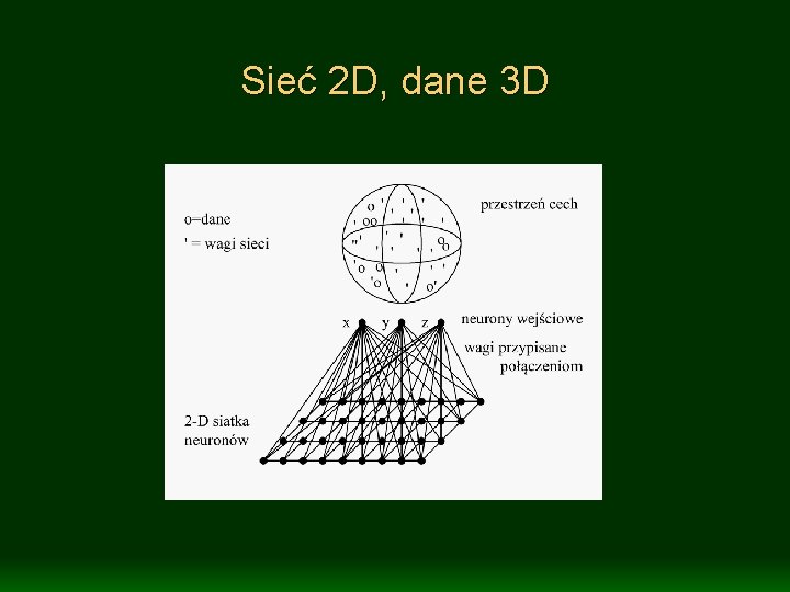 Sieć 2 D, dane 3 D 