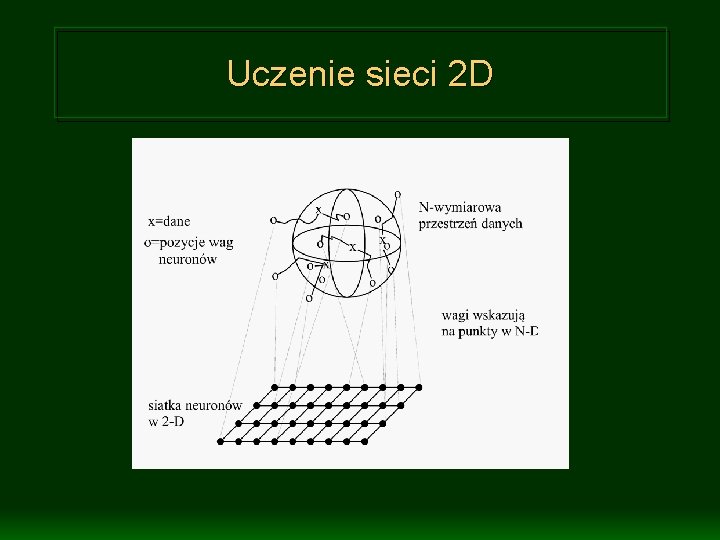 Uczenie sieci 2 D 