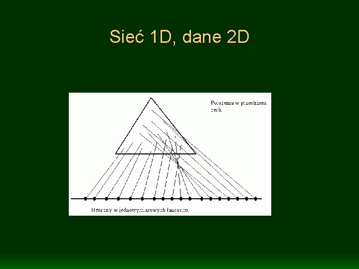 Sieć 1 D, dane 2 D 