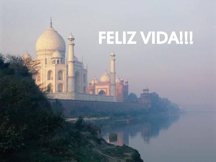 FELIZ VIDA!!! 