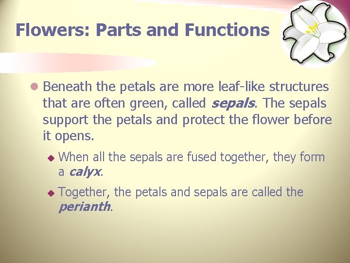 Flowers: Parts and Functions l Beneath the petals are more leaf-like structures that are