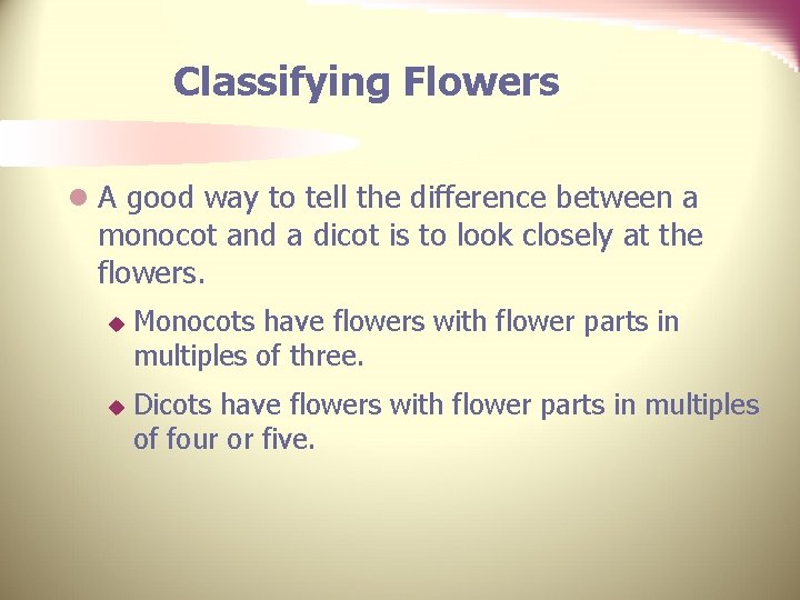 Classifying Flowers l A good way to tell the difference between a monocot and