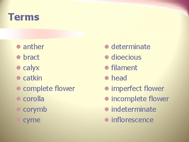 Terms l anther l determinate l bract l dioecious l calyx l filament l