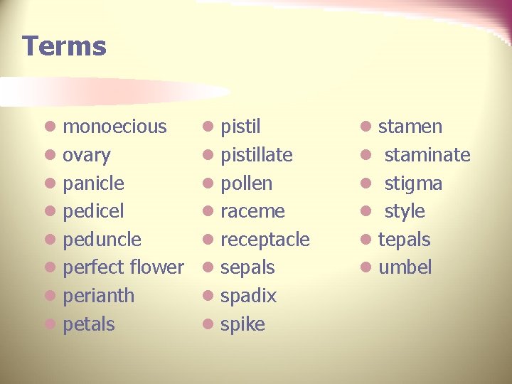 Terms l monoecious l pistil l stamen l ovary l pistillate l staminate l