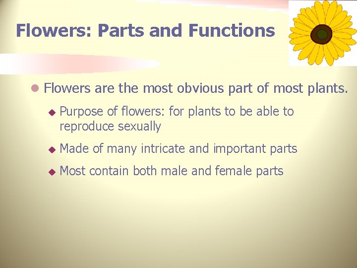 Flowers: Parts and Functions l Flowers are the most obvious part of most plants.