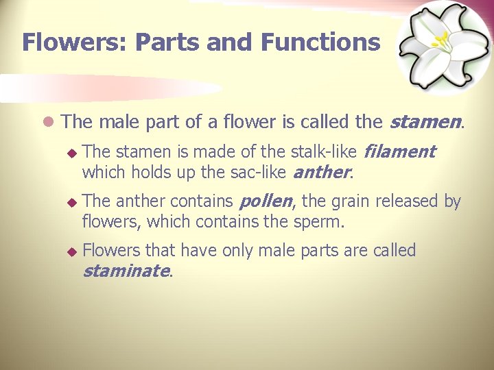 Flowers: Parts and Functions l The male part of a flower is called the
