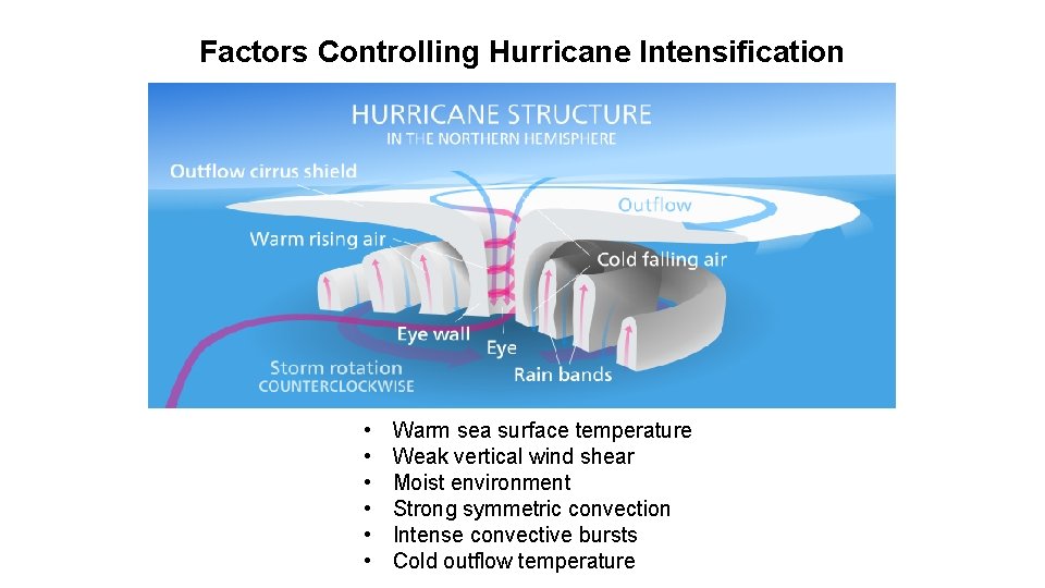 Factors Controlling Hurricane Intensification • • • Warm sea surface temperature Weak vertical wind