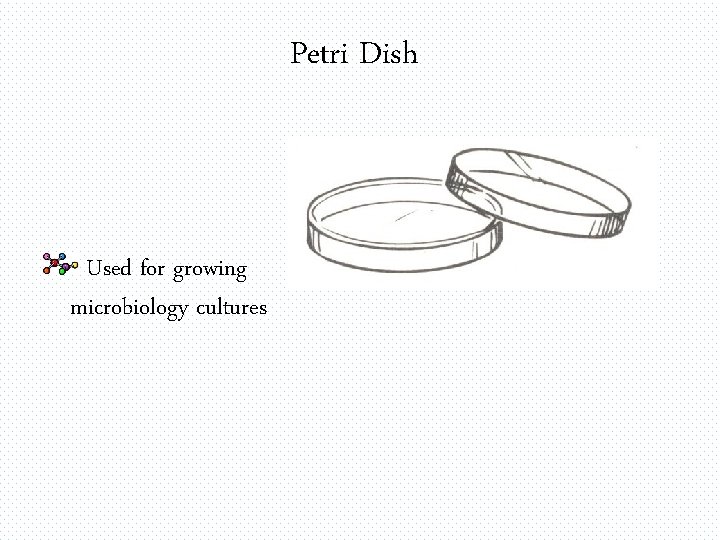 Petri Dish Used for growing microbiology cultures 