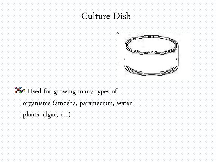 Culture Dish Used for growing many types of organisms (amoeba, paramecium, water plants, algae,