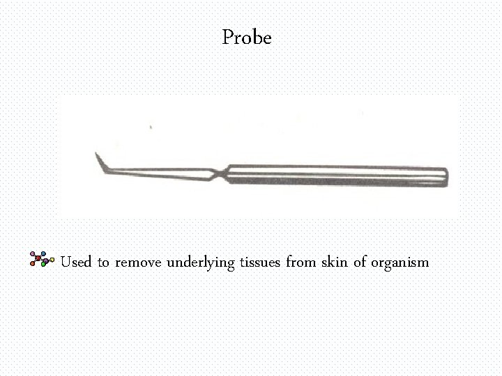Probe Used to remove underlying tissues from skin of organism 