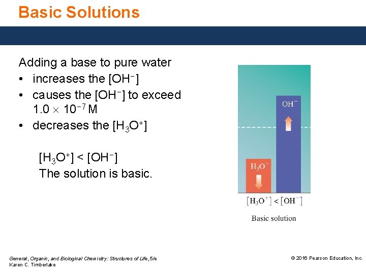 Basic Solutions Adding a base to pure water • increases the [OH−] • causes