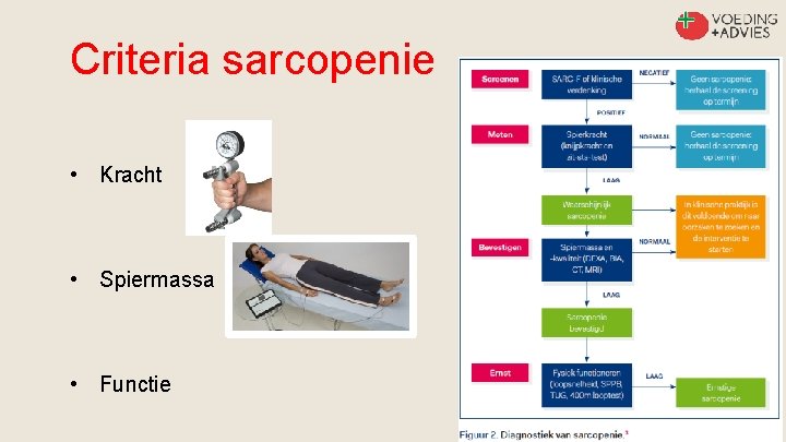 Criteria sarcopenie • Kracht • Spiermassa • Functie 