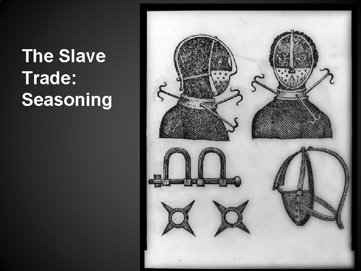 The Slave Trade: Seasoning 