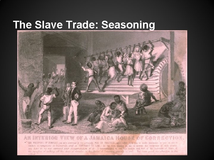 The Slave Trade: Seasoning 