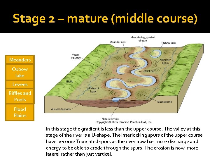 Stage 2 – mature (middle course) Meanders Oxbow lake Levees Riffles and Pools Flood