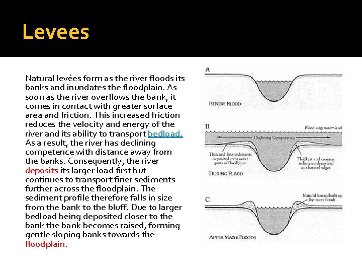 Levees Natural levées form as the river floods its banks and inundates the floodplain.