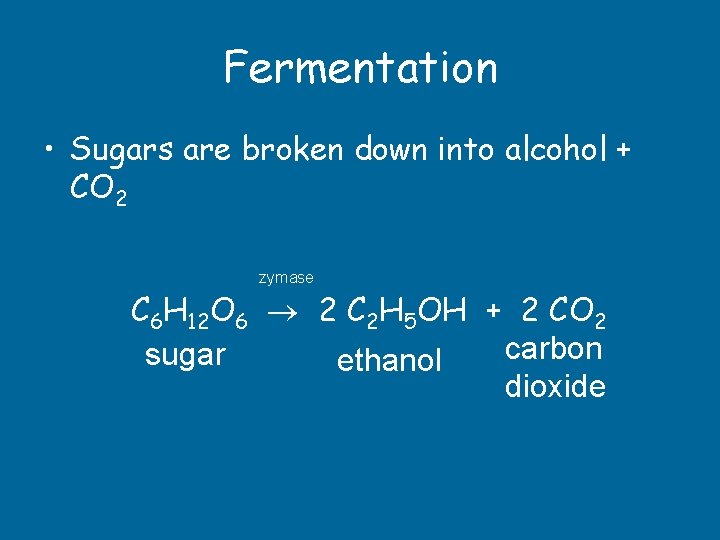 Fermentation • Sugars are broken down into alcohol + CO 2 zymase C 6