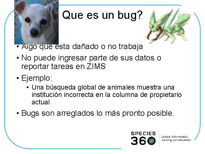 Que es un bug? • Algo que esta dañado o no trabaja • No