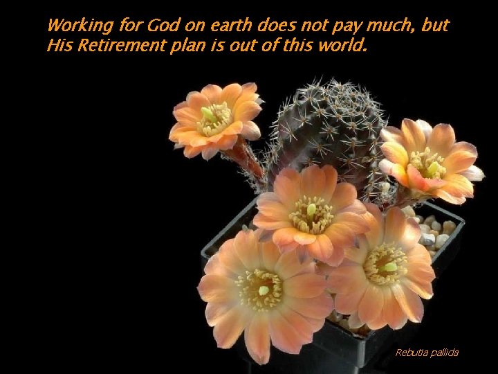 Working for God on earth does not pay much, but His Retirement plan is