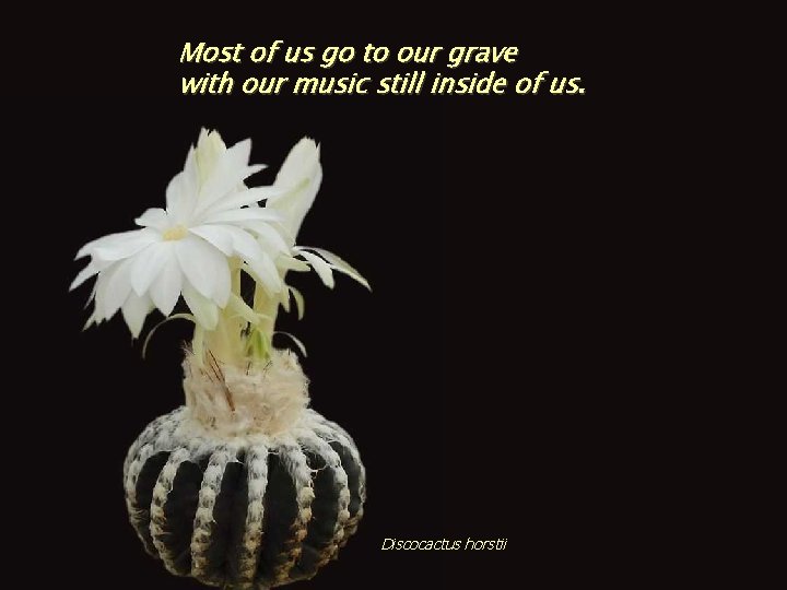 Most of us go to our grave with our music still inside of us.