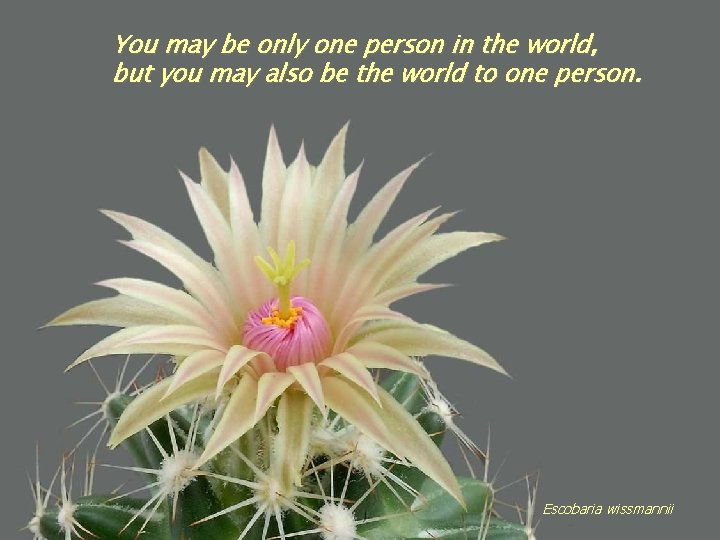 You may be only one person in the world, but you may also be