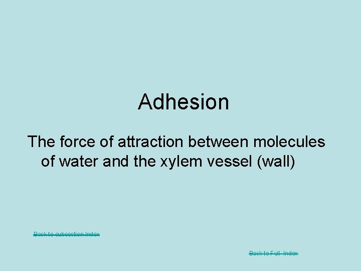 Adhesion The force of attraction between molecules of water and the xylem vessel (wall)