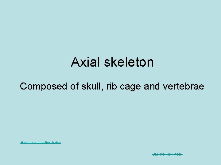 Axial skeleton Composed of skull, rib cage and vertebrae Back to subsection Index Back