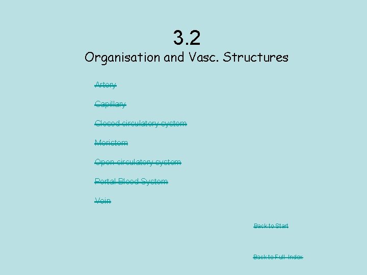 3. 2 Organisation and Vasc. Structures Artery Capillary Closed circulatory system Meristem Open circulatory