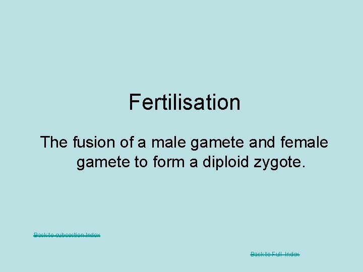 Fertilisation The fusion of a male gamete and female gamete to form a diploid