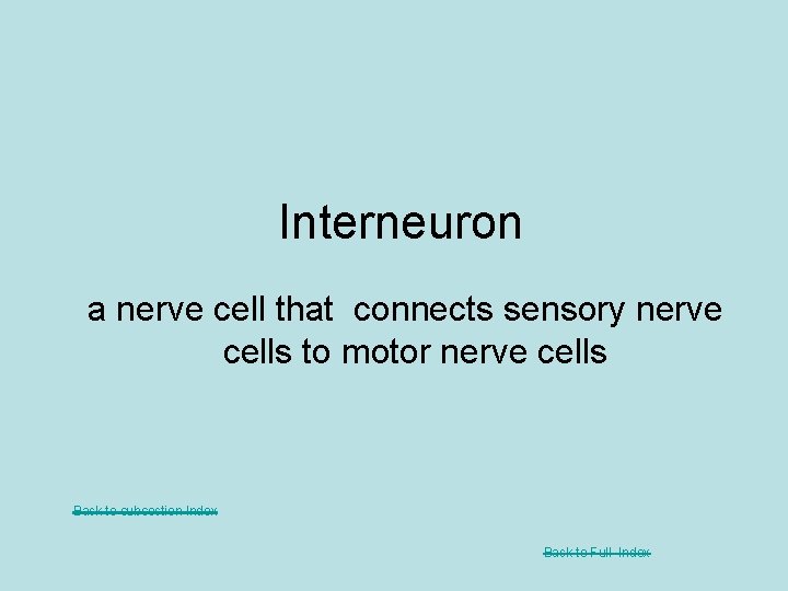 Interneuron a nerve cell that connects sensory nerve cells to motor nerve cells Back