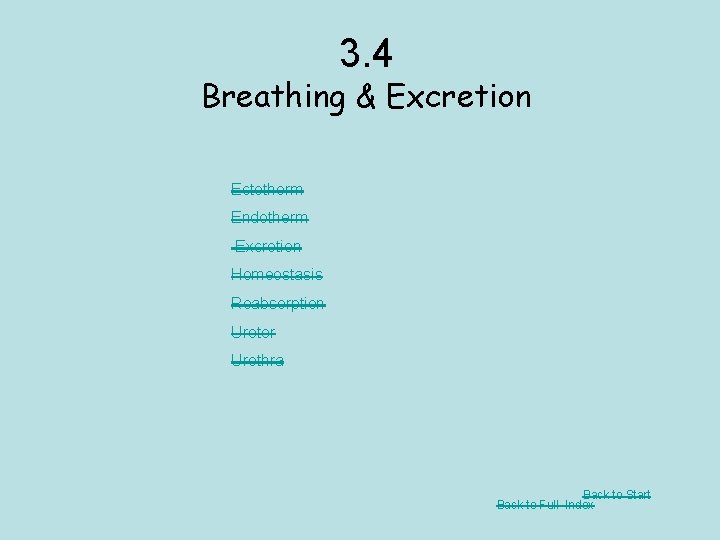 3. 4 Breathing & Excretion Ectotherm Endotherm Excretion Homeostasis Reabsorption Ureter Urethra Back to